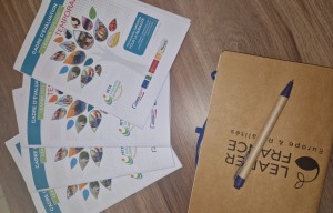 Comité de programmation LEADER - mars 2026