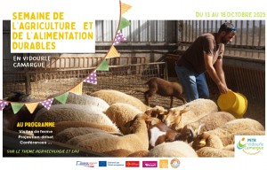 Du 13 au 18 octobre 2025, la semaine de l’agriculture et de l’alimentation durables est de retour en Vidourle Camargue !