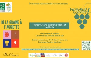 Vignobles en scène : de la graine à l'assiette