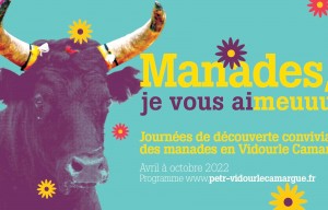 Festival de journées en pays ! Programme 2022