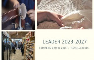 COMITÉ DE PROGRAMMATION LEADER - Mars 2025