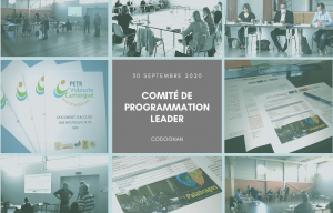 Comité de programmation LEADER septembre 2020