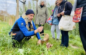 Comment concilier alimentation et santé ? Balade comestible à la découverte de la flore sauvage ! 